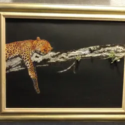 Howell County Historical Museum - West Plains