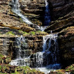 Mark Twain National Forest - West Plains
