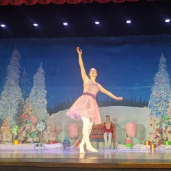 West Plains Civic Center - West Plains