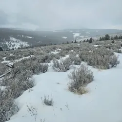 Anaconda-Pintler Wilderness - Anaconda
