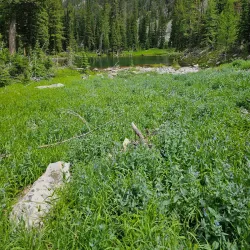 Anaconda-Pintler Wilderness - Anaconda