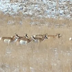 Anaconda-Pintler Wilderness - Anaconda