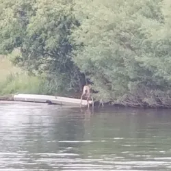 Georgetown Lake - Anaconda