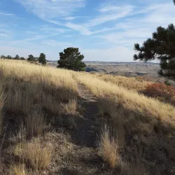 Four Dances Natural Area - Billings