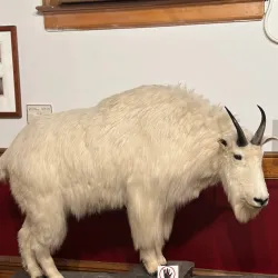 Western Heritage Center - Billings