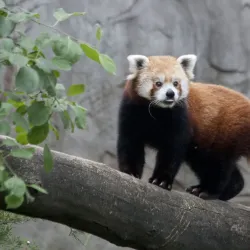 ZooMontana - Billings