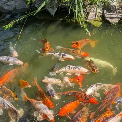 ZooMontana - Billings