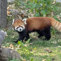 ZooMontana - Billings