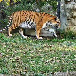 ZooMontana - Billings