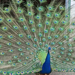 ZooMontana - Billings