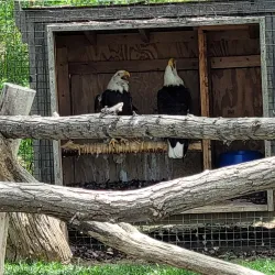 ZooMontana - Billings