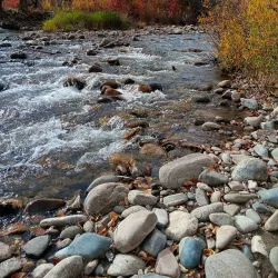 Gallatin River - Bozeman