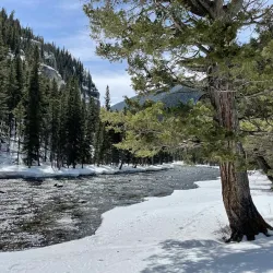 Gallatin River - Bozeman