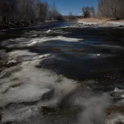 Gallatin River - Bozeman