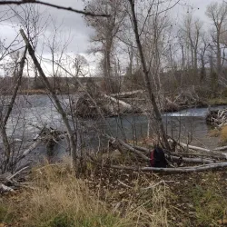 Gallatin River - Bozeman