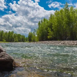 Gallatin River - Bozeman