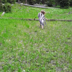 Hyalite Canyon Recreation Area - Bozeman