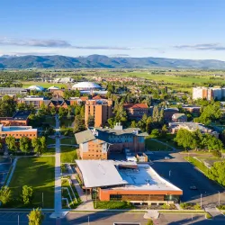 Montana State University - Bozeman