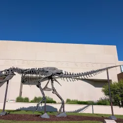 Museum of the Rockies - Bozeman