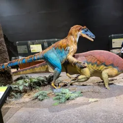 Museum of the Rockies - Bozeman