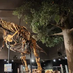 Museum of the Rockies - Bozeman