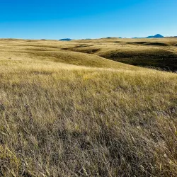 Bear Paw Battlefield - Cut Bank