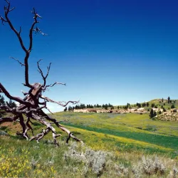 Rosebud Battlefield State Park - Forsyth