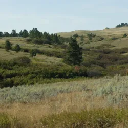 Rosebud Battlefield State Park - Forsyth