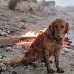 Yellowstone River Trail - Forsyth