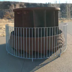 Black Eagle Falls - Great Falls