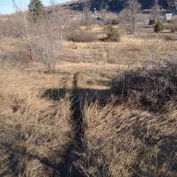 Black Eagle Falls - Great Falls