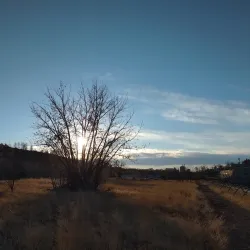 Black Eagle Falls - Great Falls
