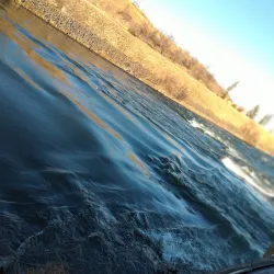 Black Eagle Falls - Great Falls