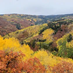 Gates of the Mountains Wilderness - Helena