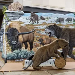 Montana Historical Society Museum - Helena