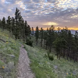 Mount Helena City Park - Helena