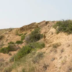 Mount Helena City Park - Helena