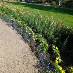 Conrad Mansion Museum - Kalispell