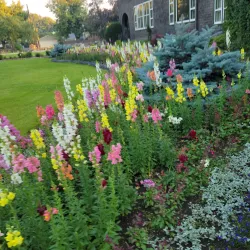 Conrad Mansion Museum - Kalispell