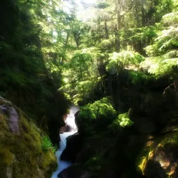 Flathead Lake - Kalispell