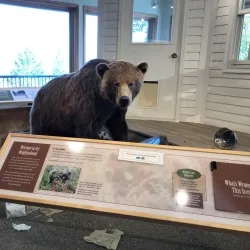 Lone Pine State Park - Kalispell