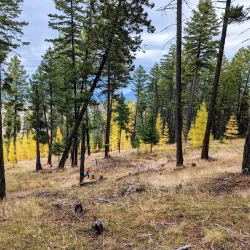 Lone Pine State Park - Kalispell