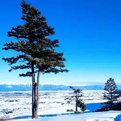 Lone Pine State Park - Kalispell