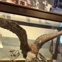 Museum at Central School - Kalispell