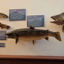 Museum at Central School - Kalispell