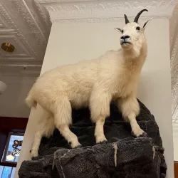 Museum at Central School - Kalispell