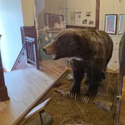 Museum at Central School - Kalispell