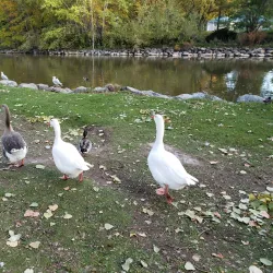 Woodland Water Park - Kalispell