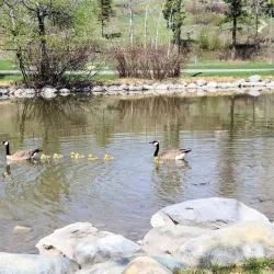 Woodland Water Park - Kalispell