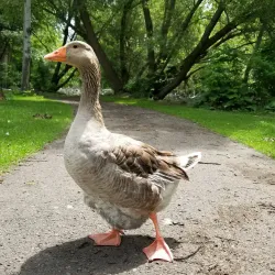 Woodland Water Park - Kalispell